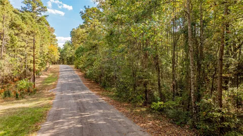 County Road 4558