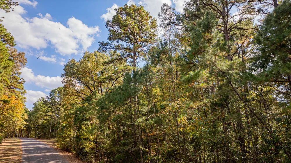 County Road 4558 Winnsboro, TX 75494