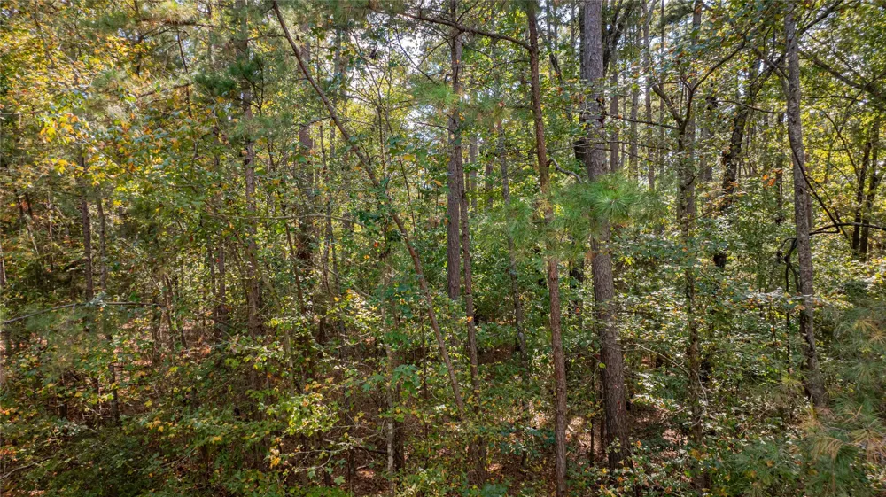 County Road 4558 Winnsboro, TX 75494