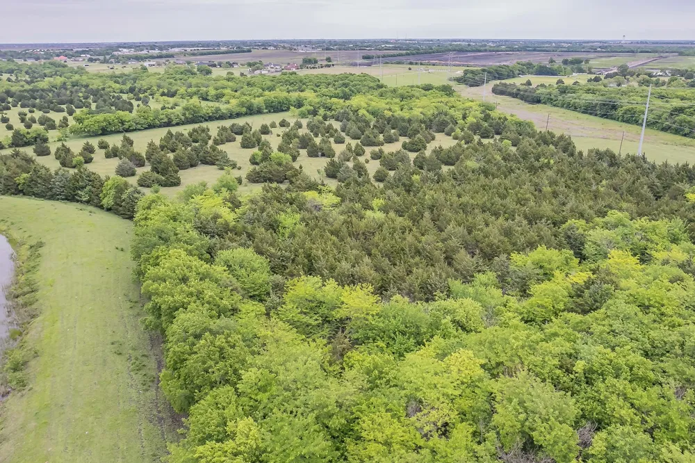 Rocki Dell Lane Rockwall, TX 75032