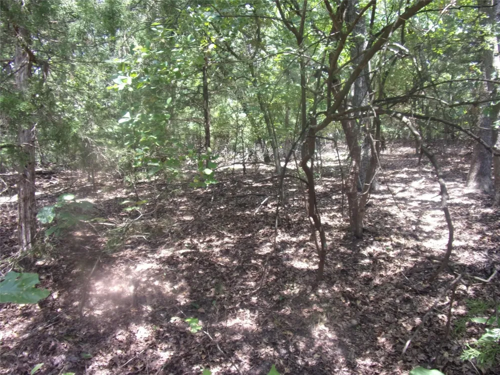 Wildwood Murchison, TX 75778