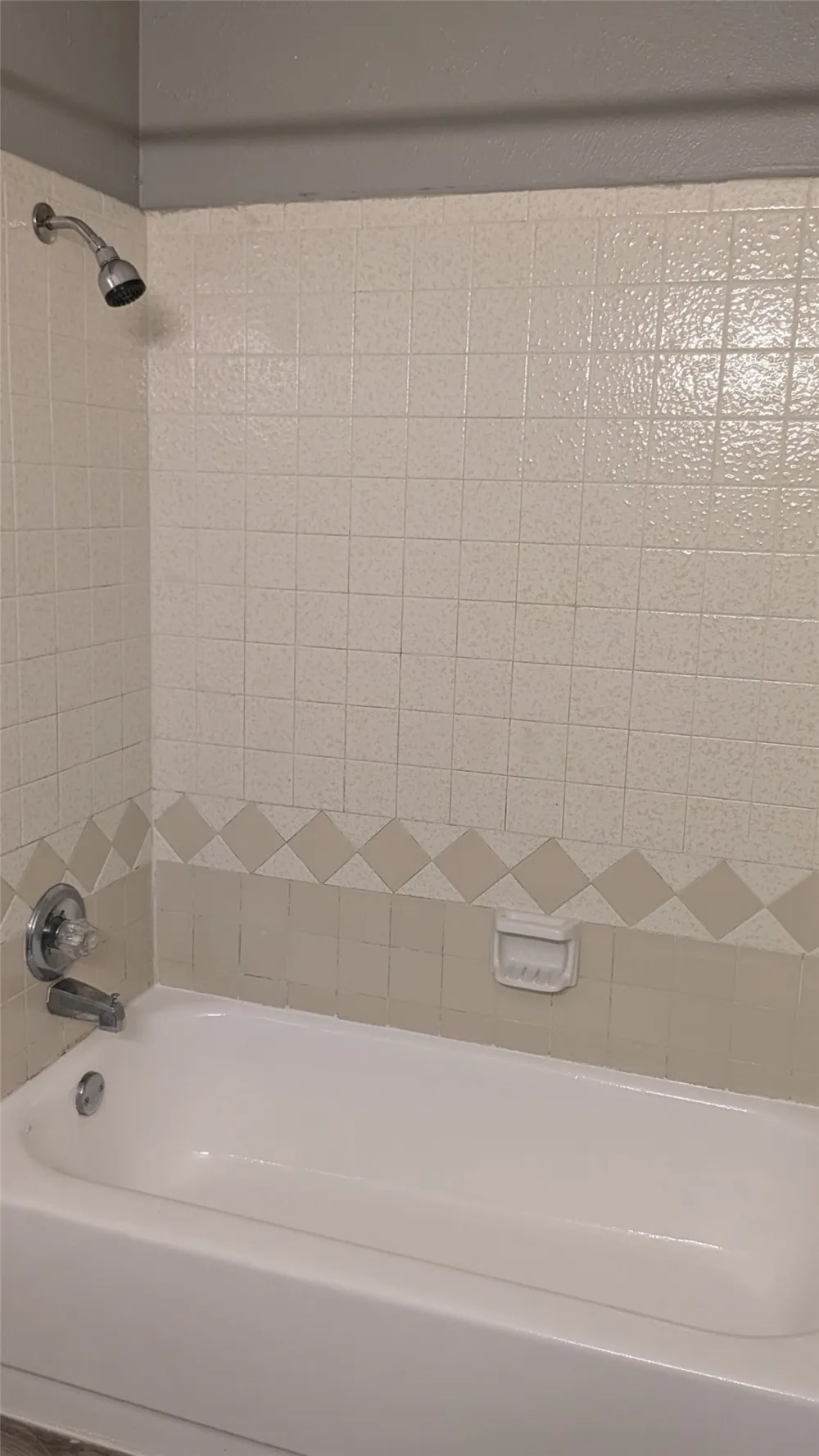 1003 Vedral Place Cedar Hill, TX 75104