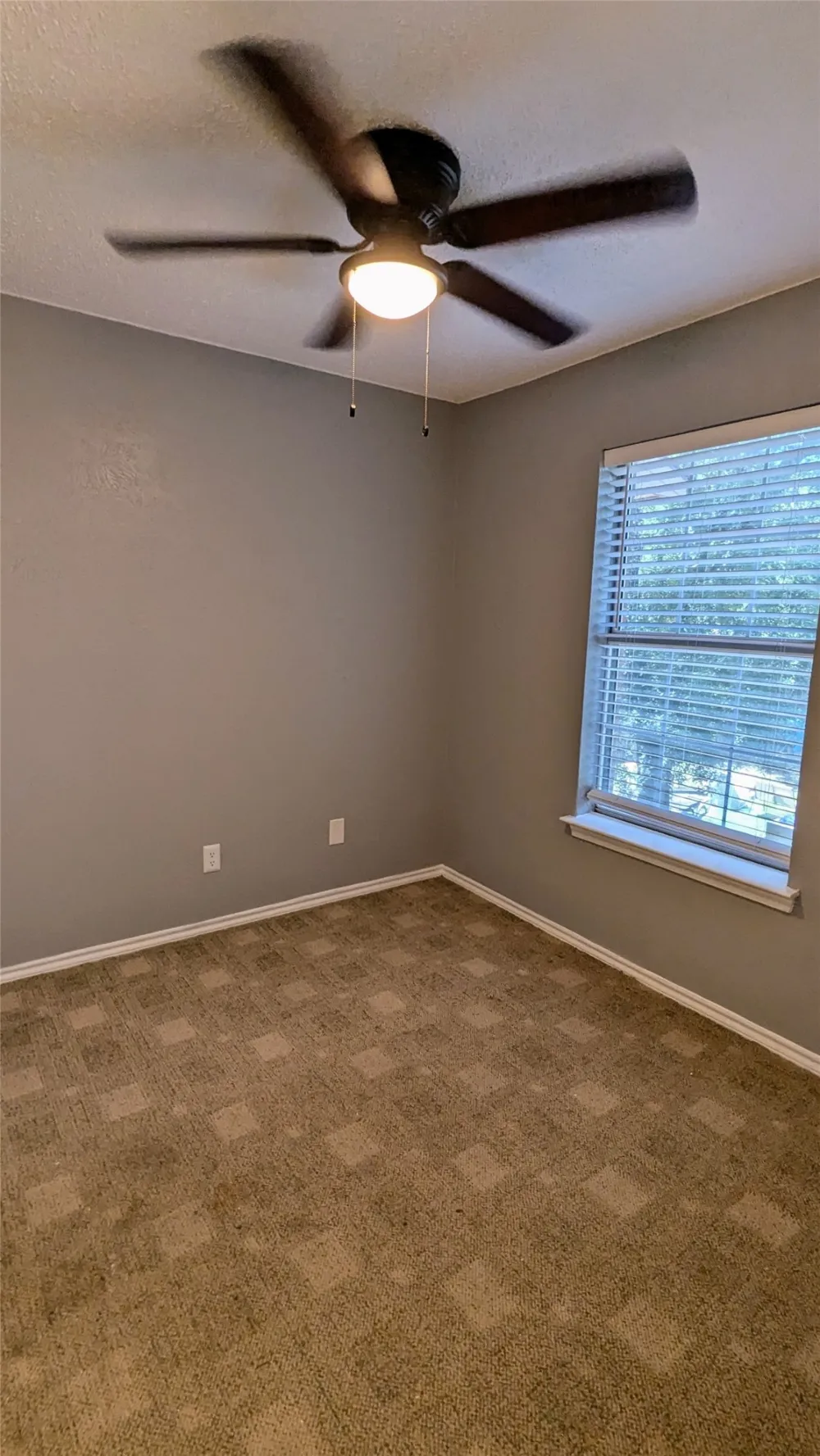 1003 Vedral Place Cedar Hill, TX 75104