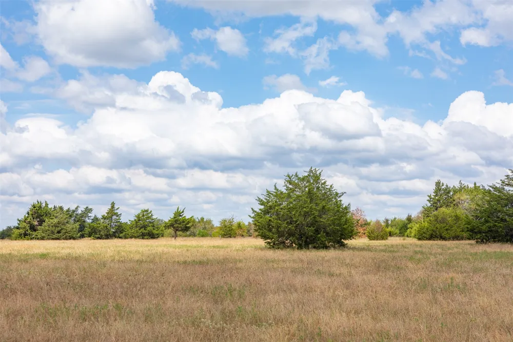 3188 5649 Lone Oak, TX 75453