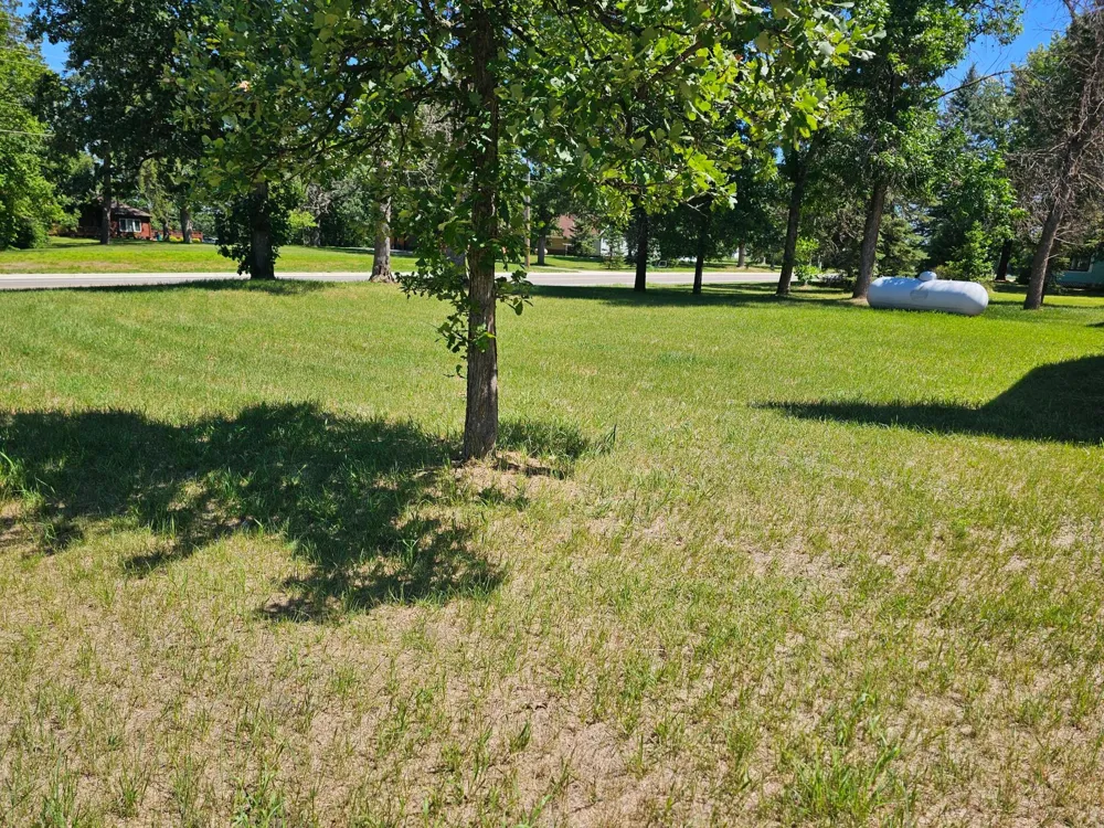 12370 County 6 Park Rapids, MN 56470