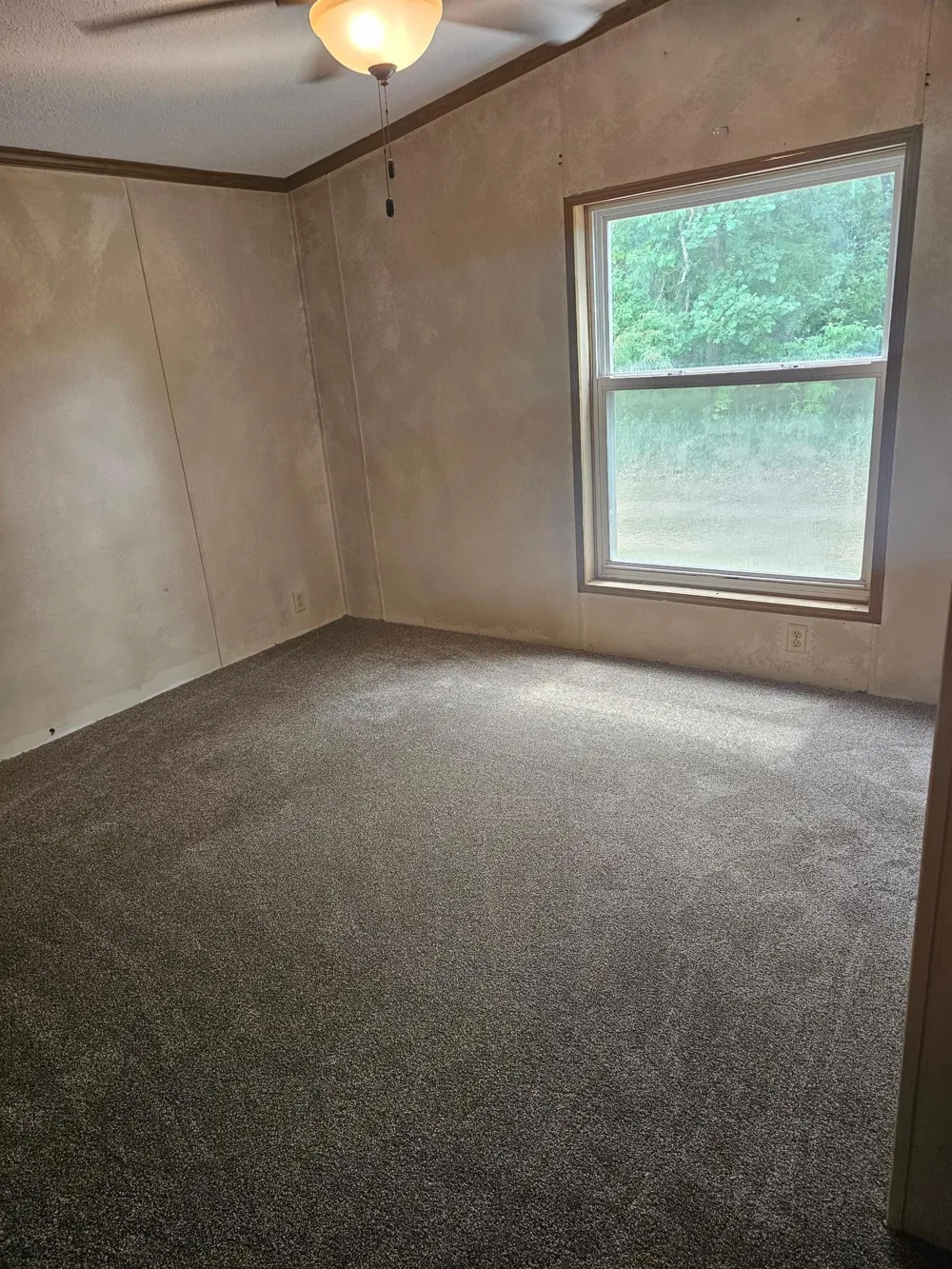 12370 County 6 Park Rapids, MN 56470