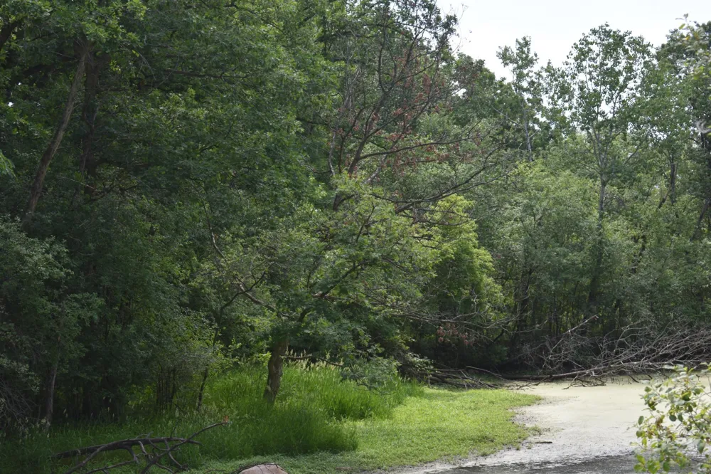 5470 Rowland Road Hopkins, MN 55343