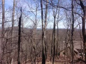 8112 Disharoon Drive Big Canoe, GA 30143
