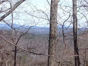 8112 Disharoon Drive Big Canoe, GA 30143