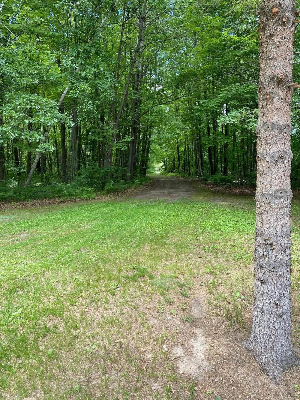 24280 County Road 3 Merrifield, MN 56465