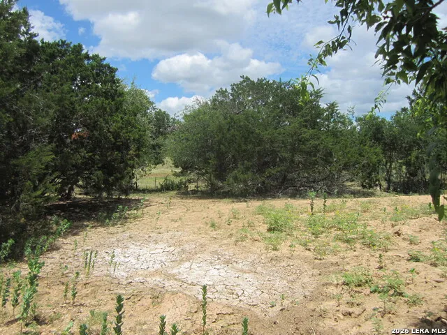  Medina, TX 78055