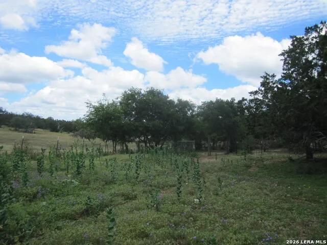  Medina, TX 78055