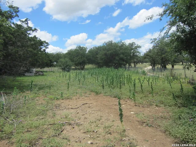  Medina, TX 78055