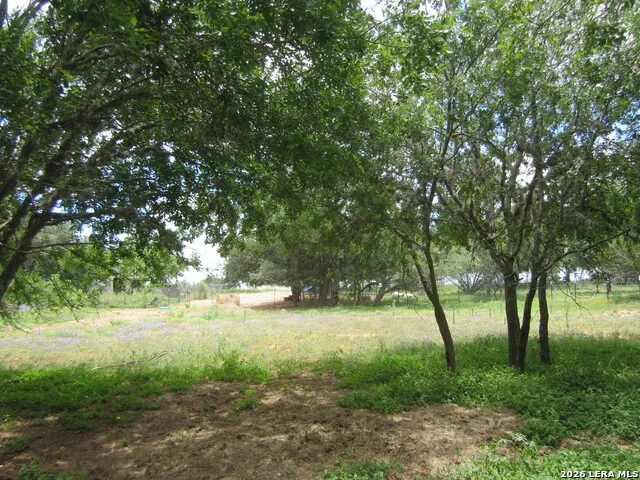 Medina, TX 78055