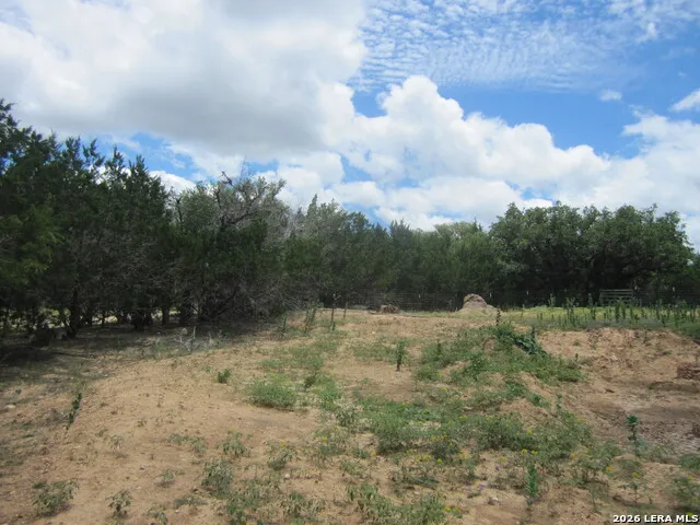  Medina, TX 78055