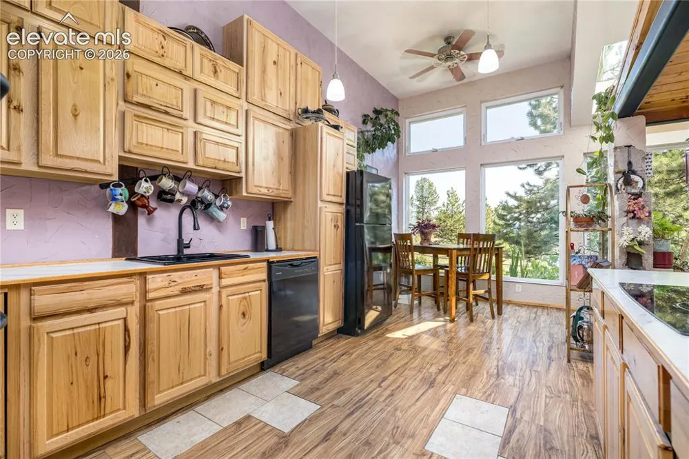 2493 County Road 782 Woodland Park, CO 80863