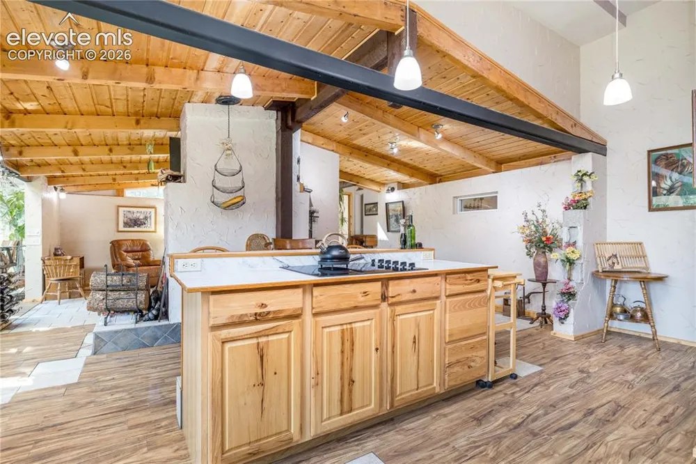 2493 County Road 782 Woodland Park, CO 80863