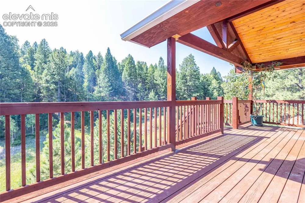 2493 County Road 782 Woodland Park, CO 80863