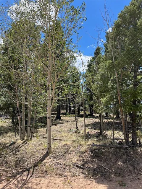 506 Castle Mountain Drive