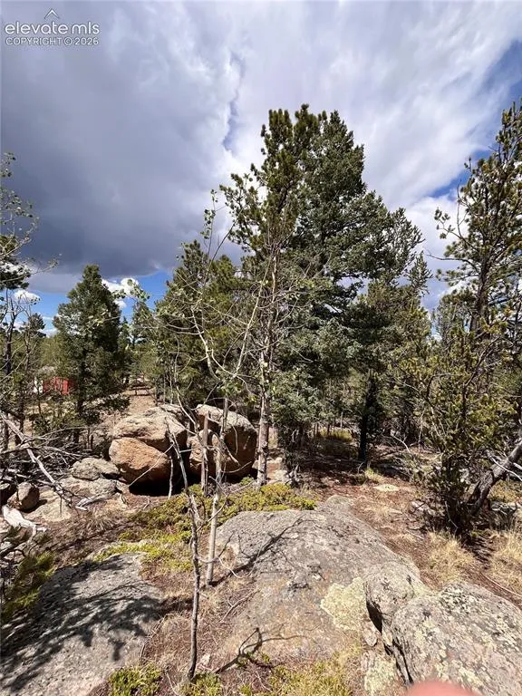 506 Castle Mountain Drive Guffey, CO 80820