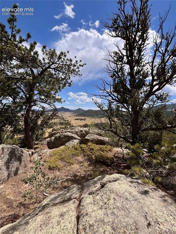 506 Castle Mountain Drive Guffey, CO 80820
