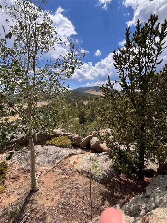 506 Castle Mountain Drive Guffey, CO 80820