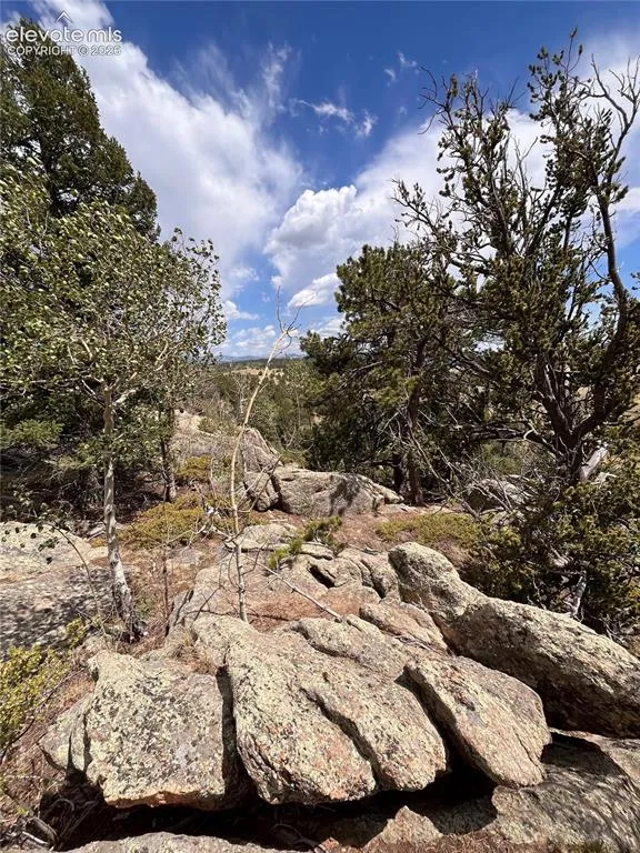 506 Castle Mountain Drive Guffey, CO 80820