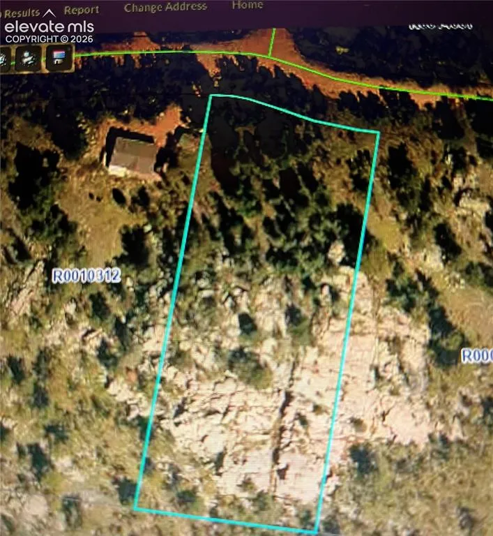 506 Castle Mountain Drive Guffey, CO 80820