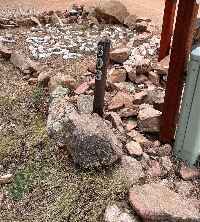 506 Castle Mountain Drive Guffey, CO 80820
