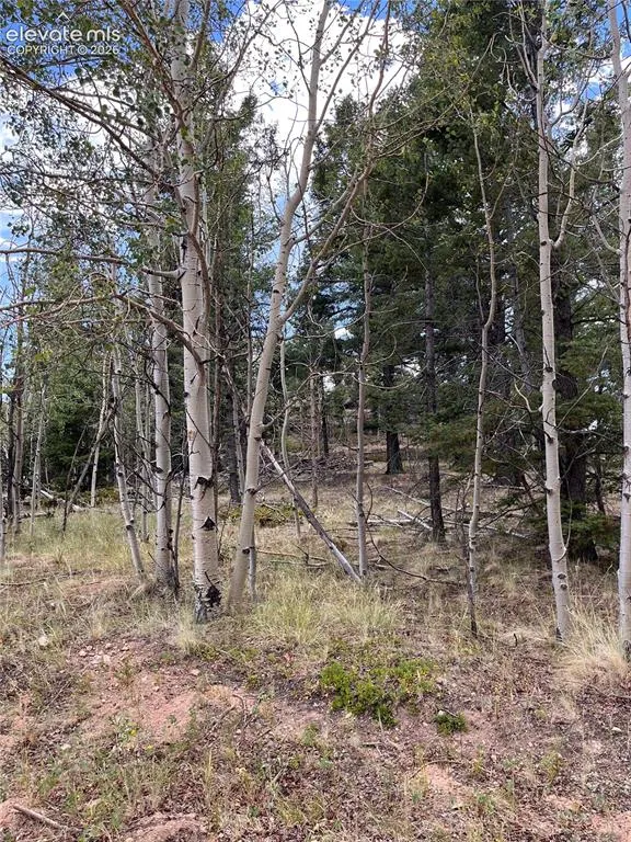 506 Castle Mountain Drive Guffey, CO 80820