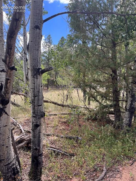 506 Castle Mountain Drive Guffey, CO 80820