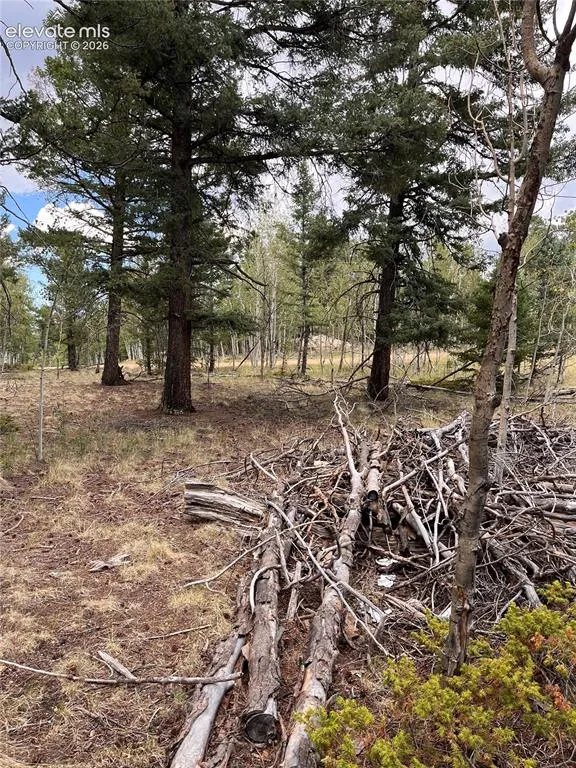 506 Castle Mountain Drive Guffey, CO 80820