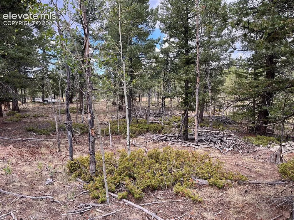 506 Castle Mountain Drive Guffey, CO 80820