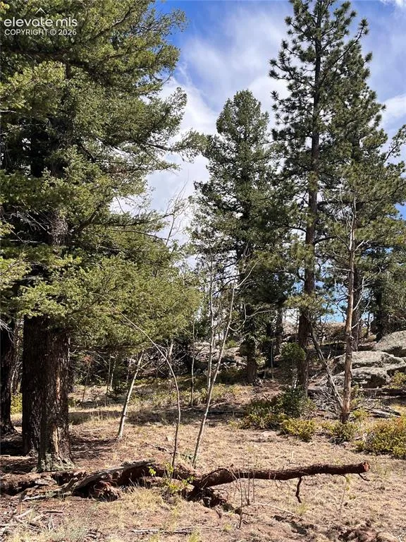 506 Castle Mountain Drive Guffey, CO 80820