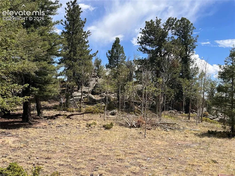 506 Castle Mountain Drive Guffey, CO 80820