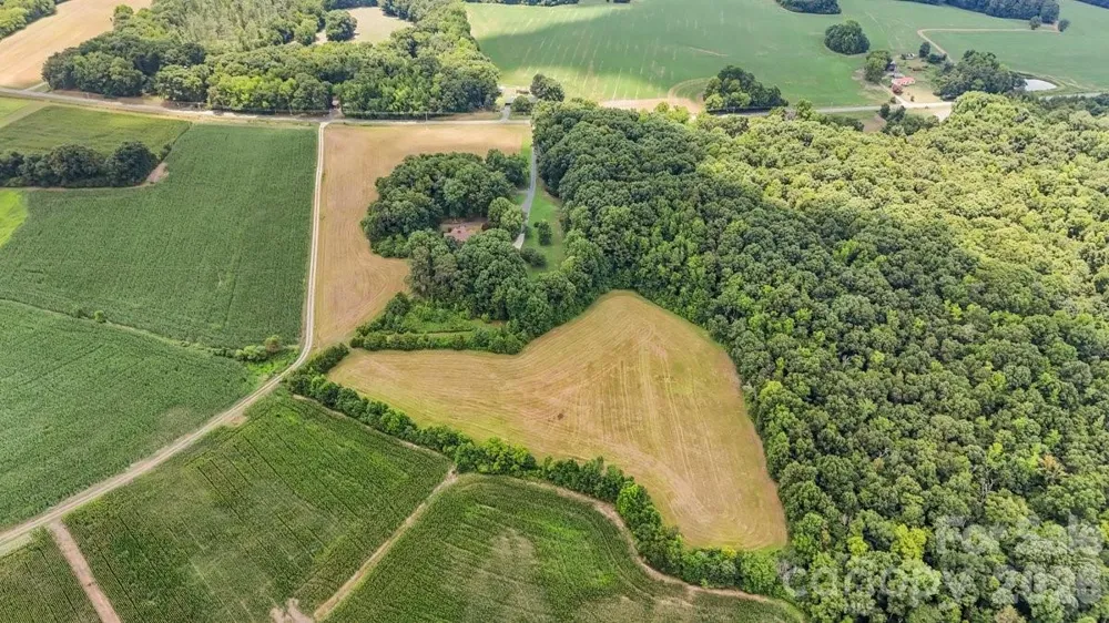 881 Handy Road Denton, NC 27239