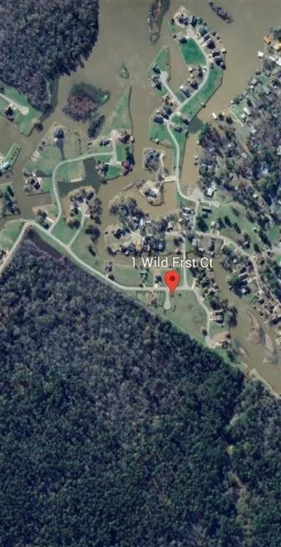 1 Wild Forest Court Huntsville, TX 77340