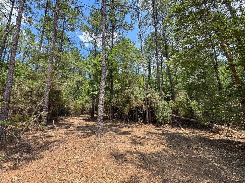 5 Benny Griffin Road Dallardsville, TX 77351