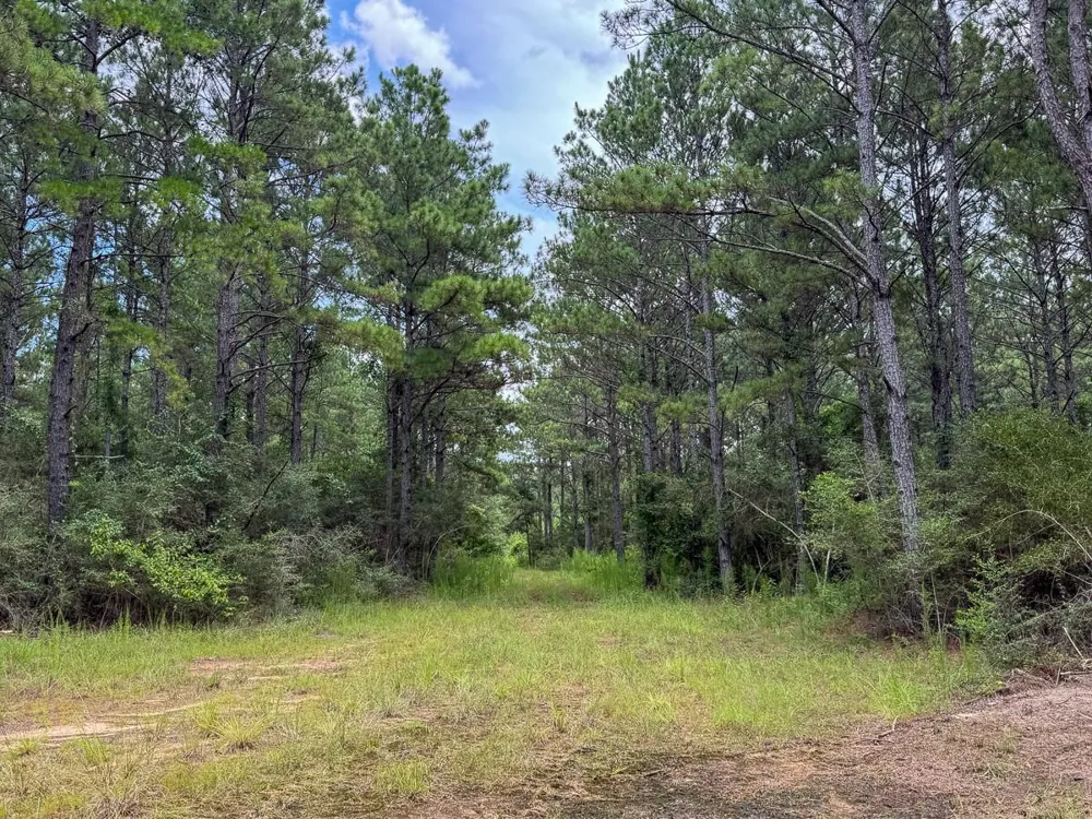 5 Benny Griffin Road Dallardsville, TX 77351