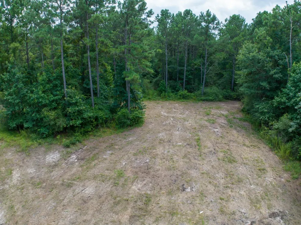 5 Benny Griffin Road Dallardsville, TX 77351