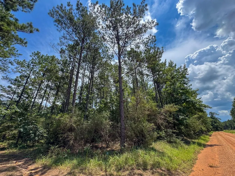 5 Benny Griffin Road Dallardsville, TX 77351
