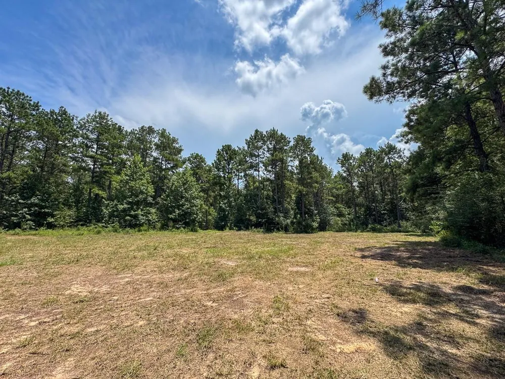 5 Benny Griffin Road Dallardsville, TX 77351