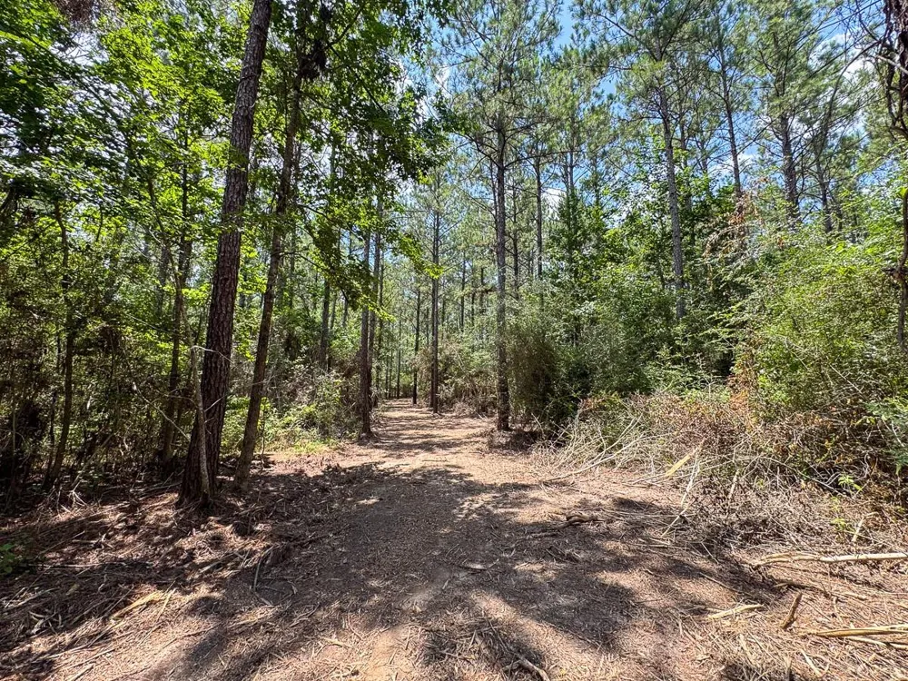 5 Benny Griffin Road Dallardsville, TX 77351