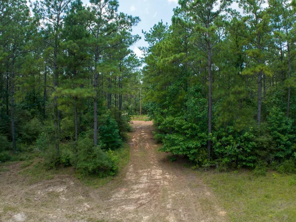 6 Benny Griffin Road Dallardsville, TX 77351