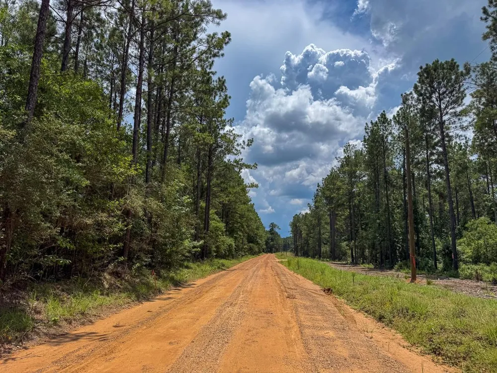 7 Benny Griffin Road Dallardsville, TX 77351