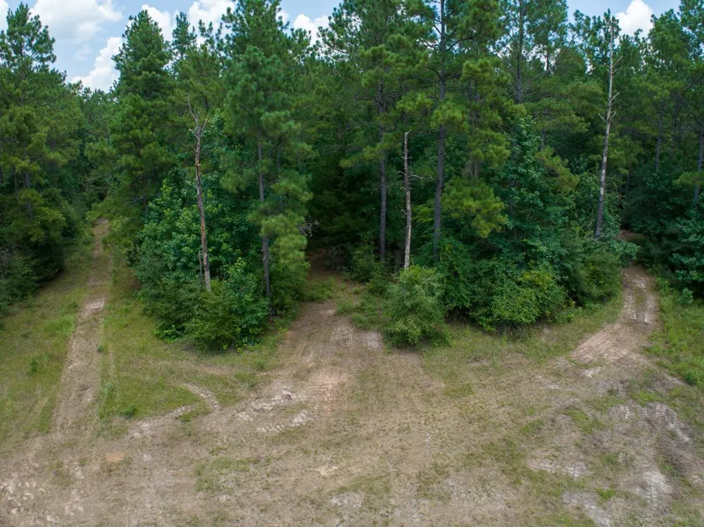 9 Benny Griffin Road Dallardsville, TX 77351