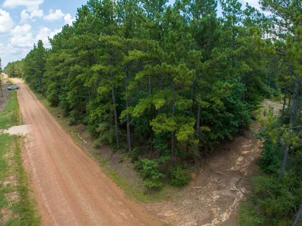 9 Benny Griffin Road Dallardsville, TX 77351