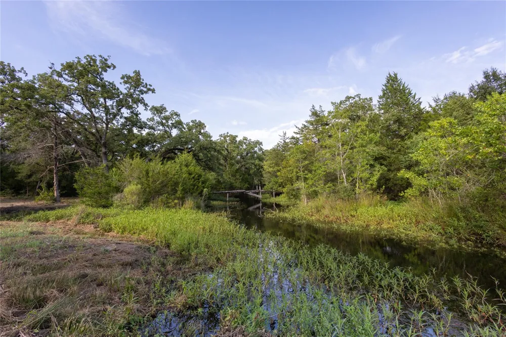 3190 Settlers Lane Madisonville, TX 77864