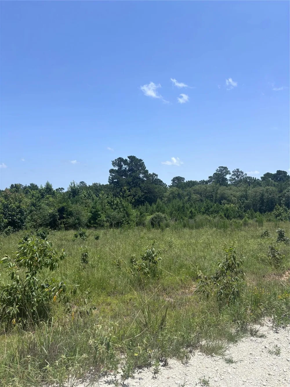 Canopy Ridge Kennard, TX 75847