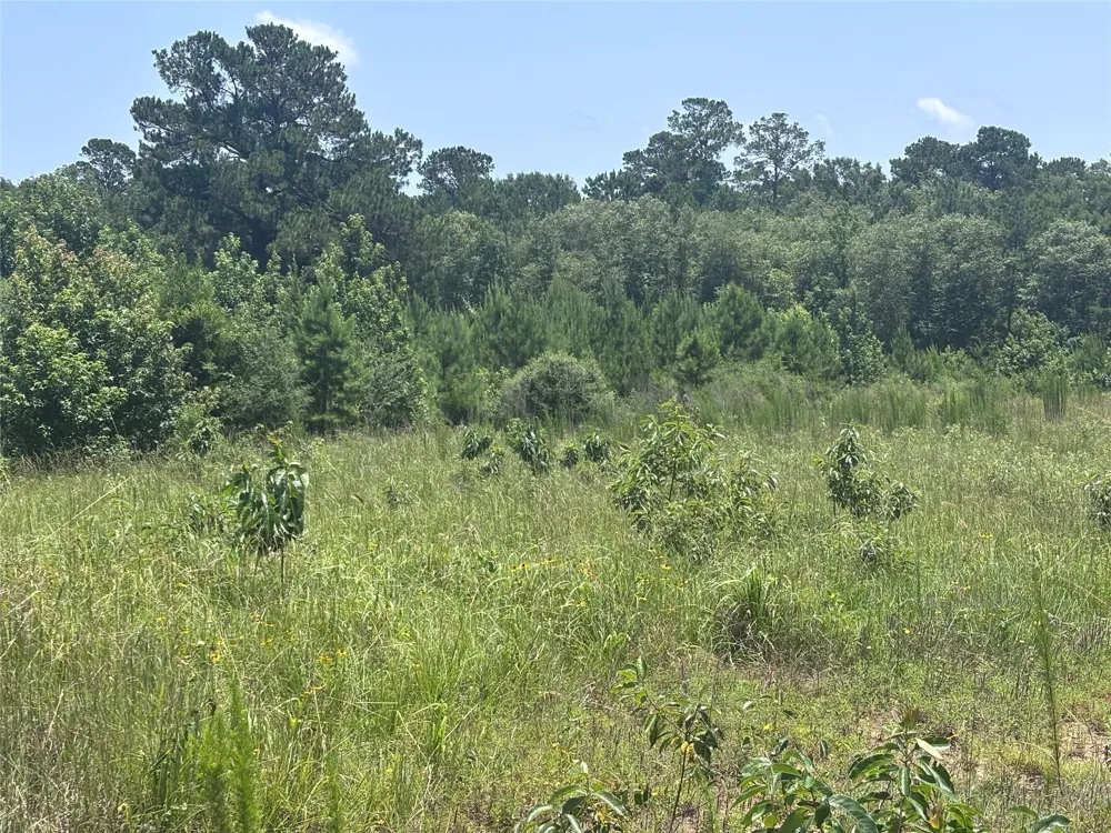Canopy Ridge Kennard, TX 75847